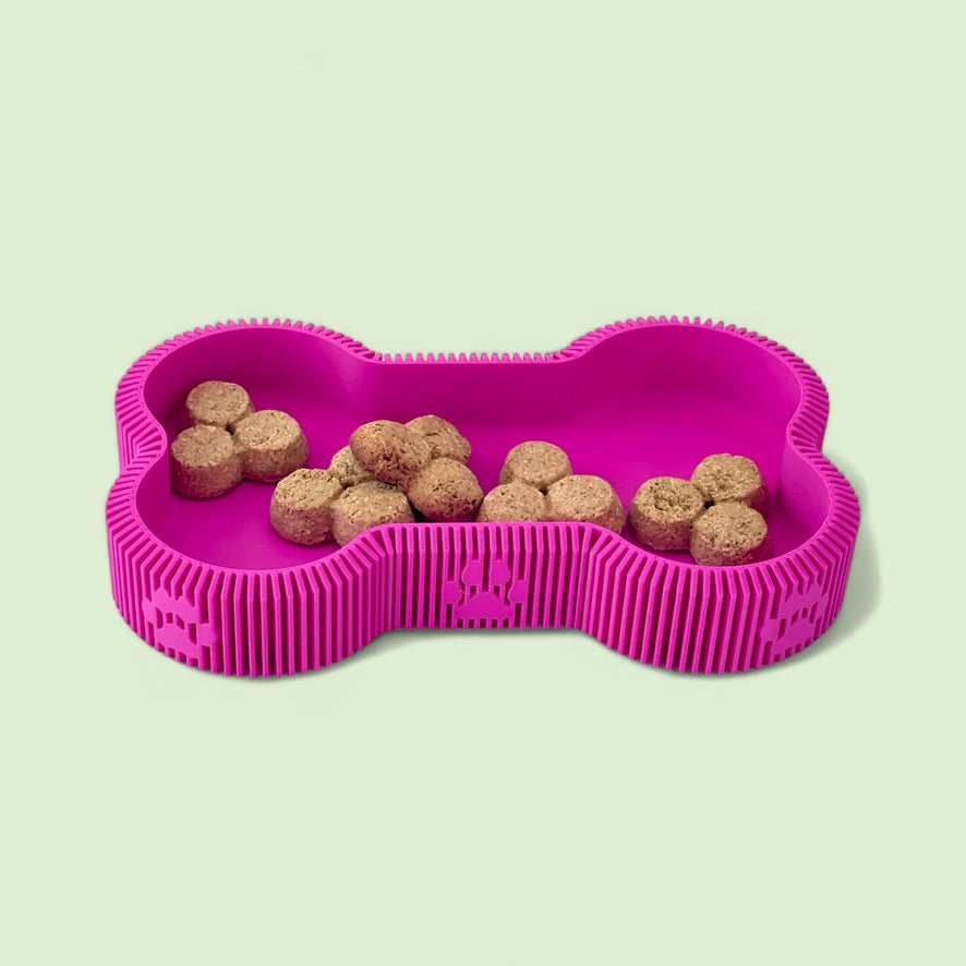 Puppy Platter - ModProj