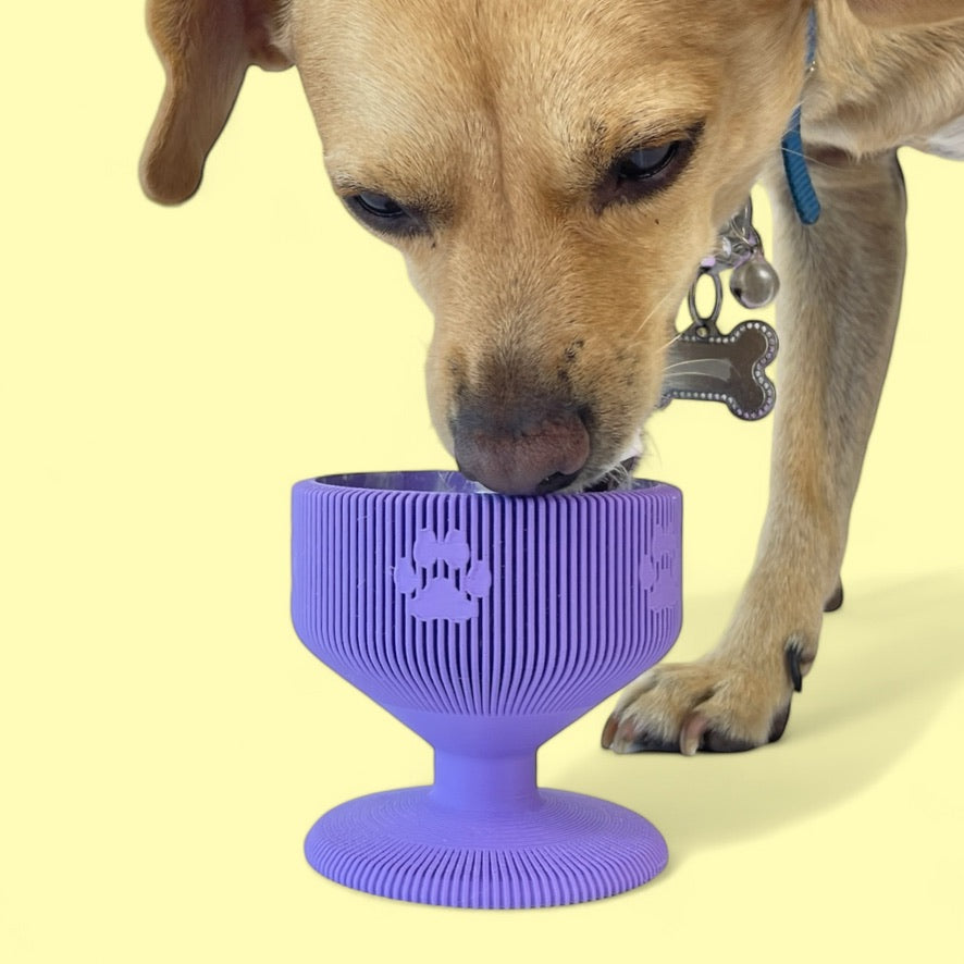 Pet Chalice - ModProj