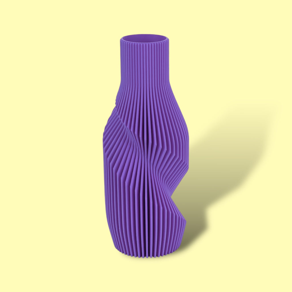 The Twisted Bottle Vase - ModProj