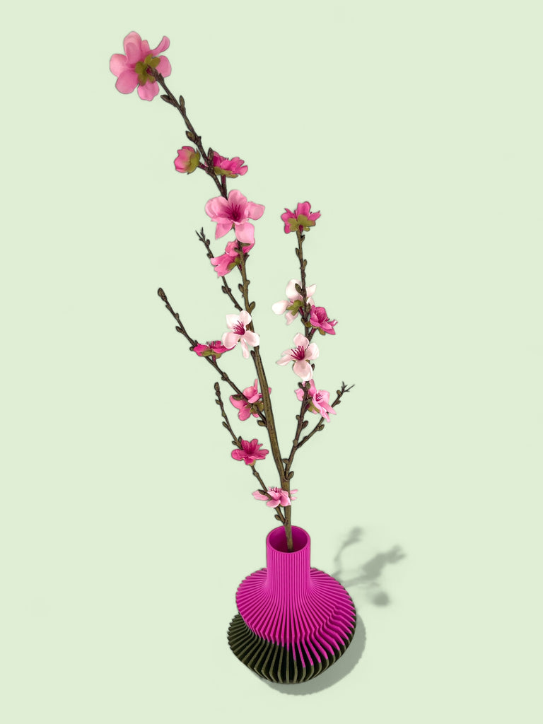 The Twisted Decanter - ModProj