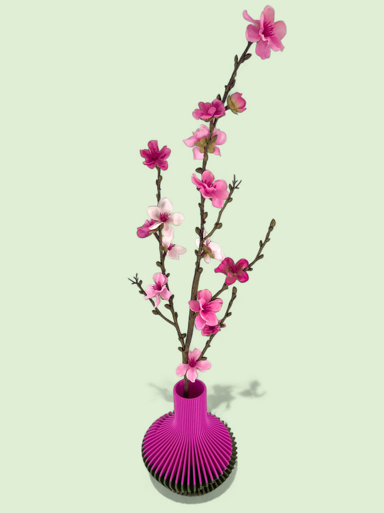 The Twisted Decanter - ModProj